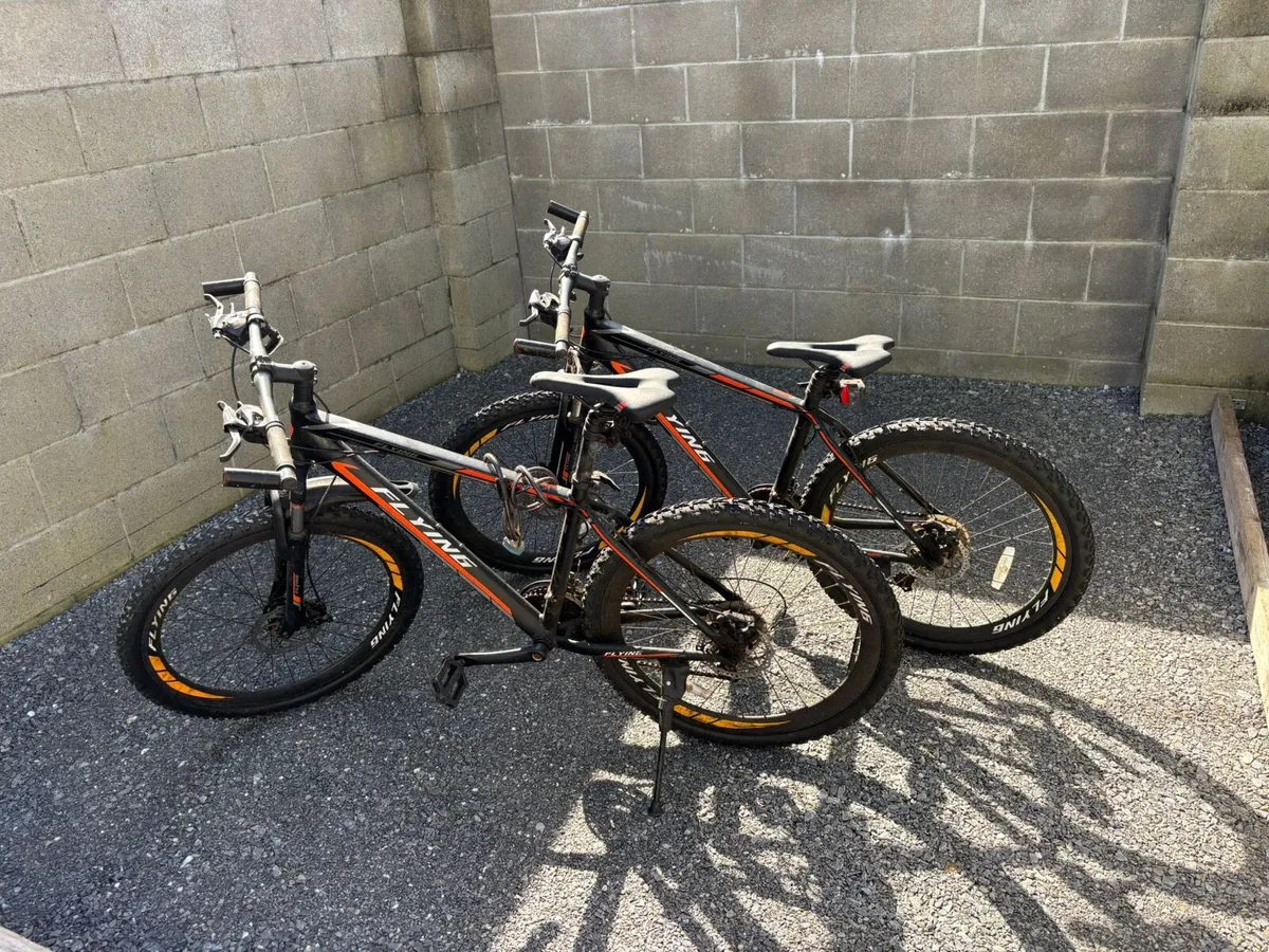 Bikes - Image 1