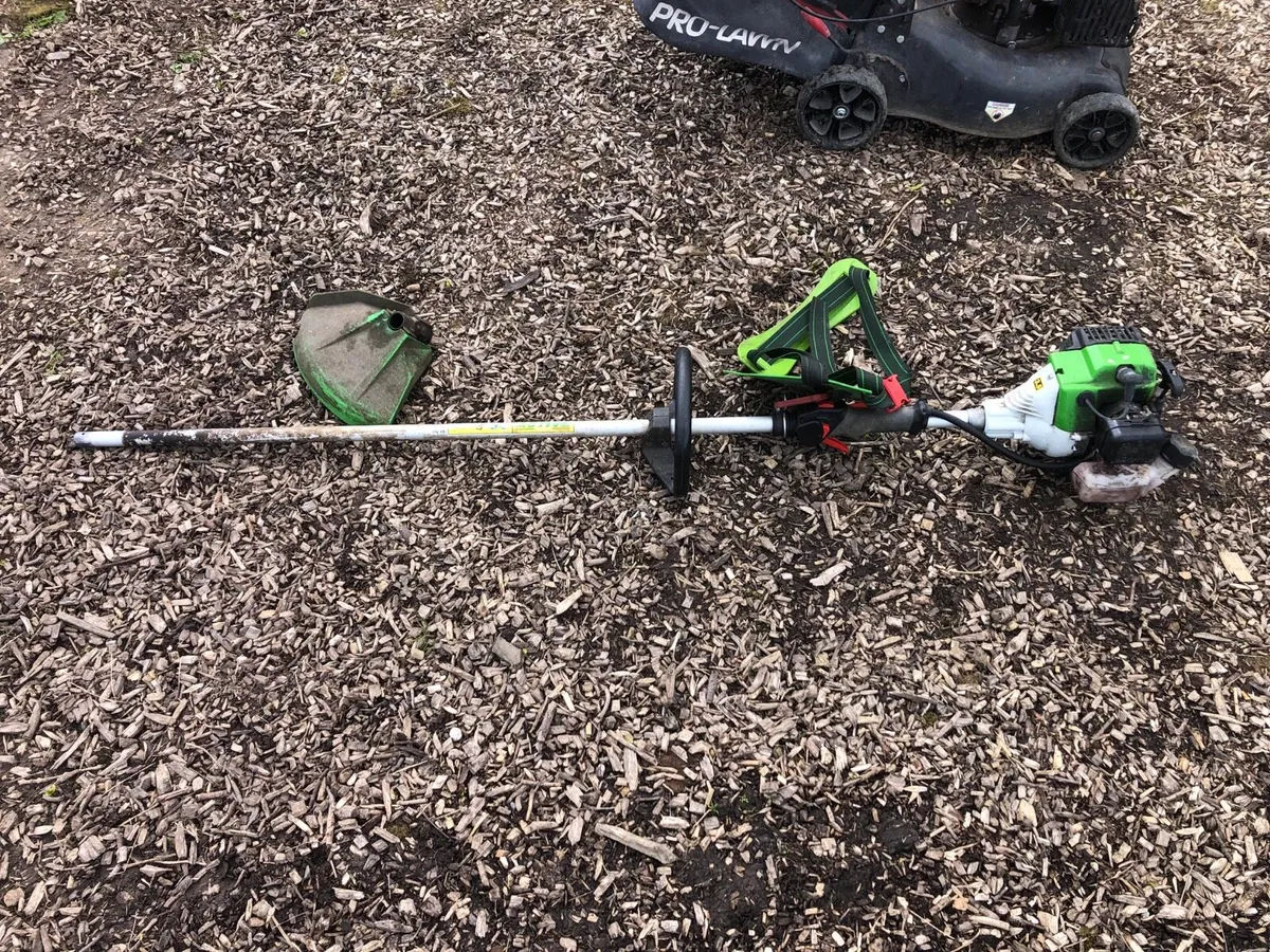 Strimmers and lawn mower - Image 2