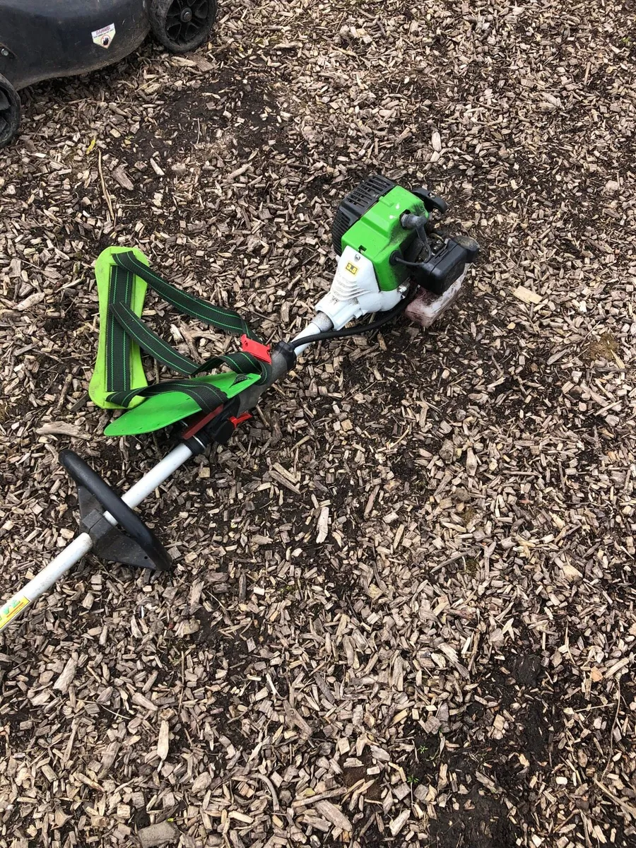 Strimmers and lawn mower - Image 3