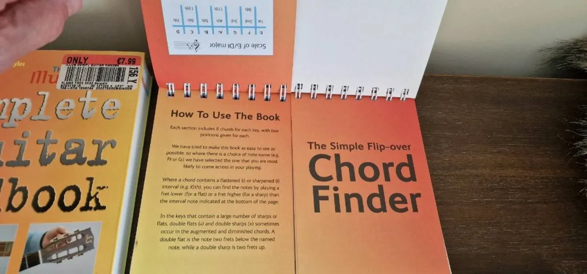 Guitar Paraphernalia - Image 4