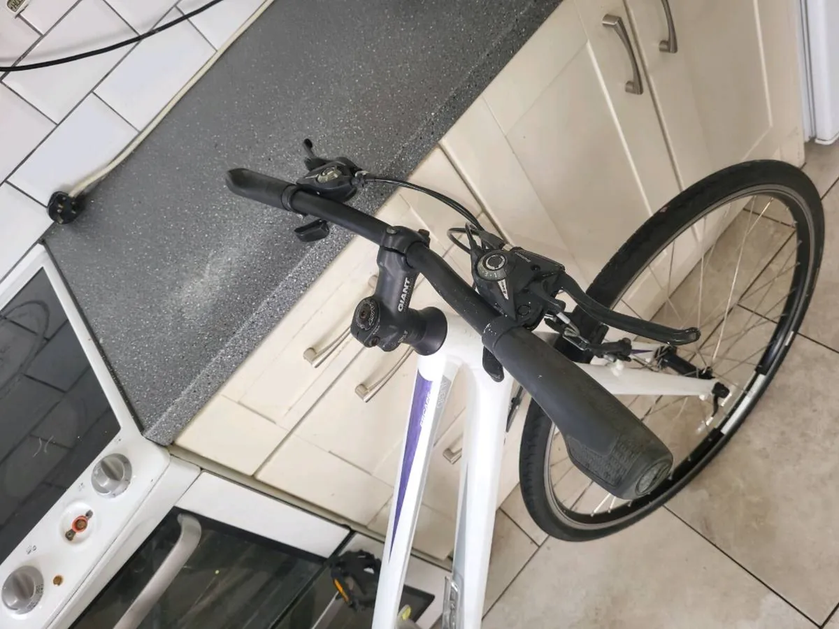 Ladies giant bike - Image 2