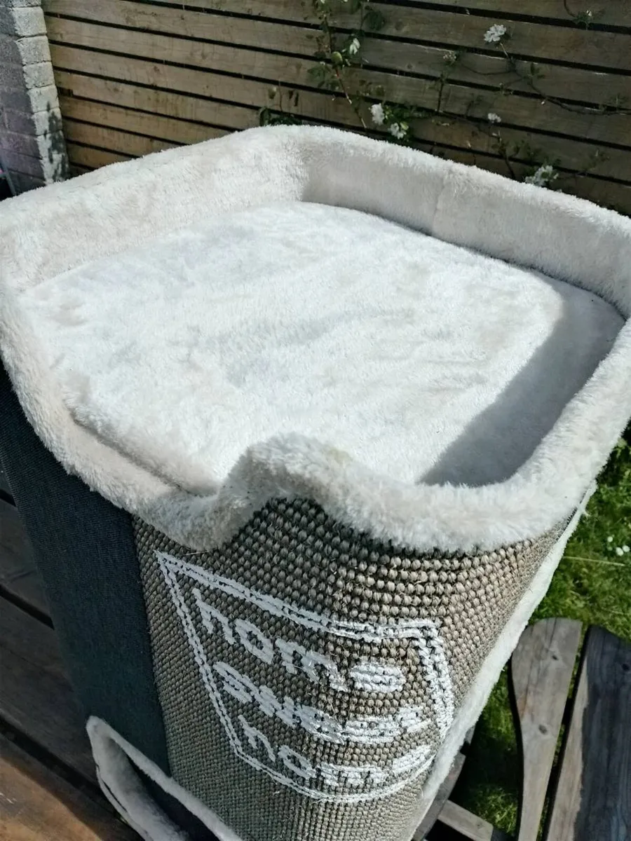 Cat Tower (Jorge, by Trixie) - Image 2