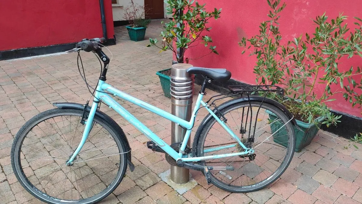 Adult Bike - Image 1