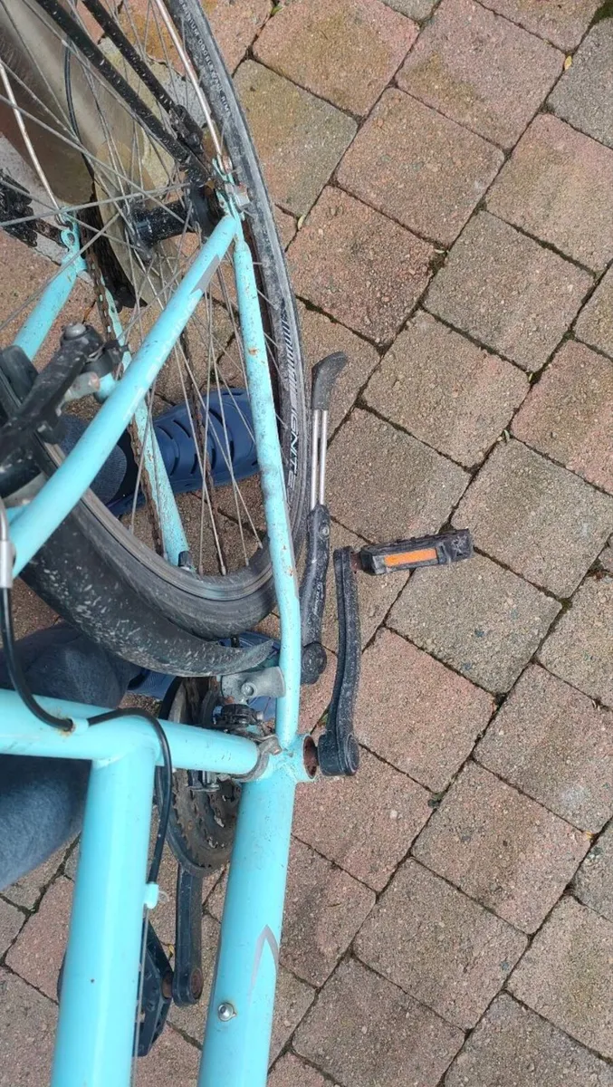 Adult Bike - Image 2