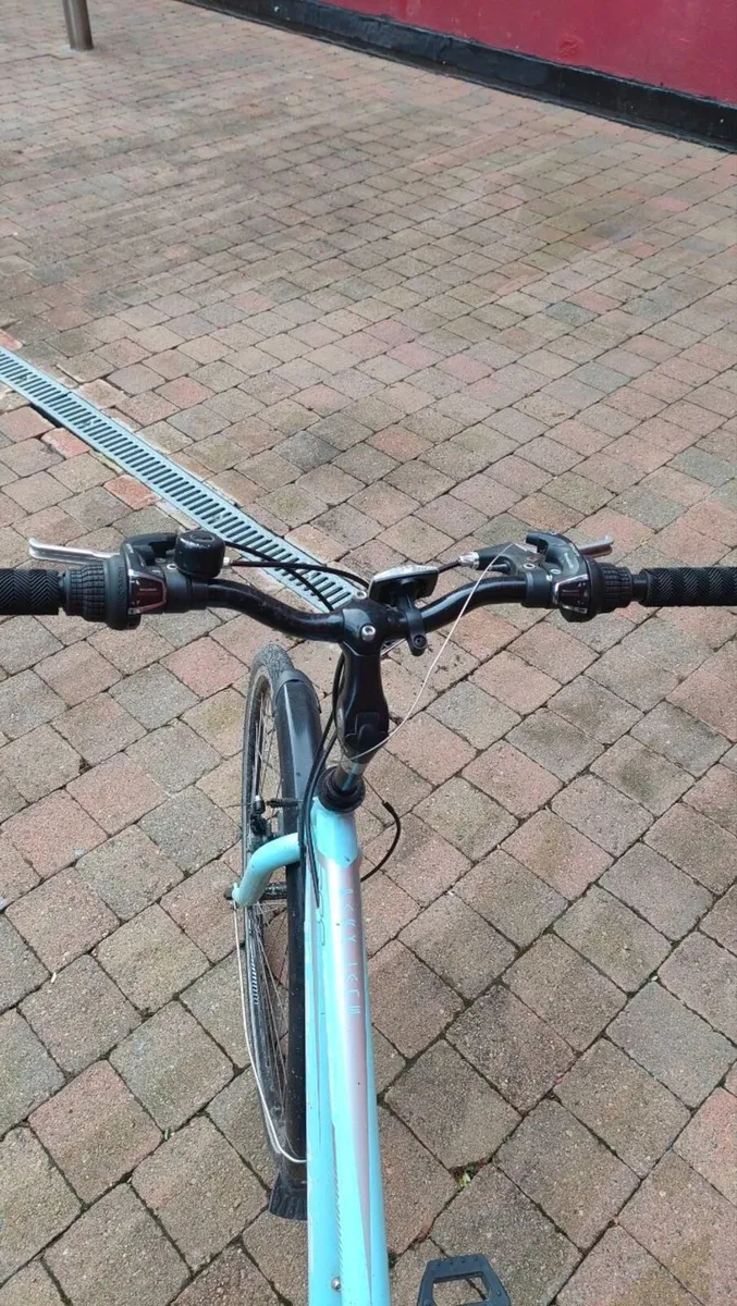 Adult Bike - Image 3