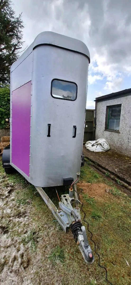 HB505 Ifor Williams Horse Trailer - Image 2