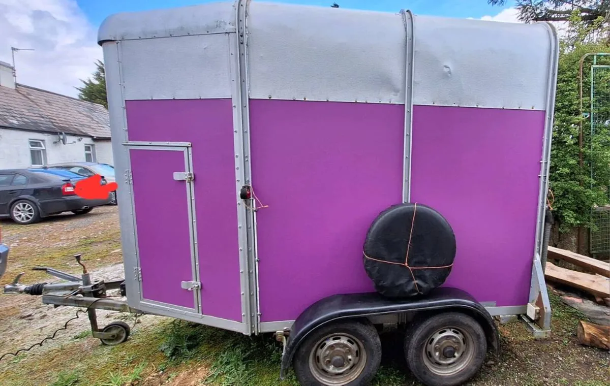 HB505 Ifor Williams Horse Trailer - Image 3