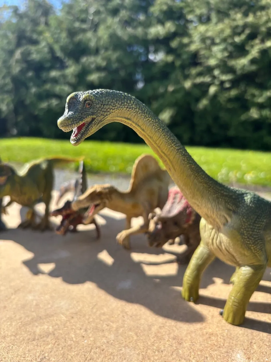 Schleich Dinosaur Bundle - Image 3