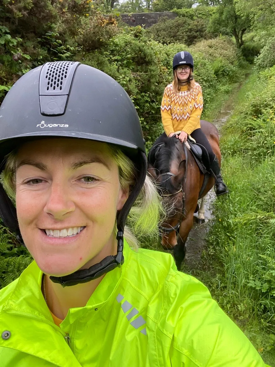 Irish Draught - Image 3