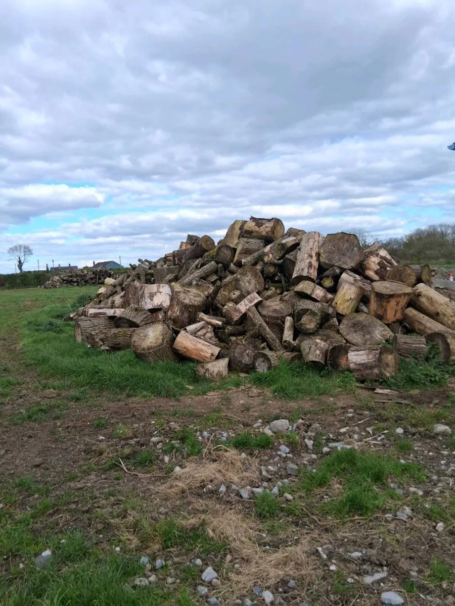 Firewood/Timber - Image 2