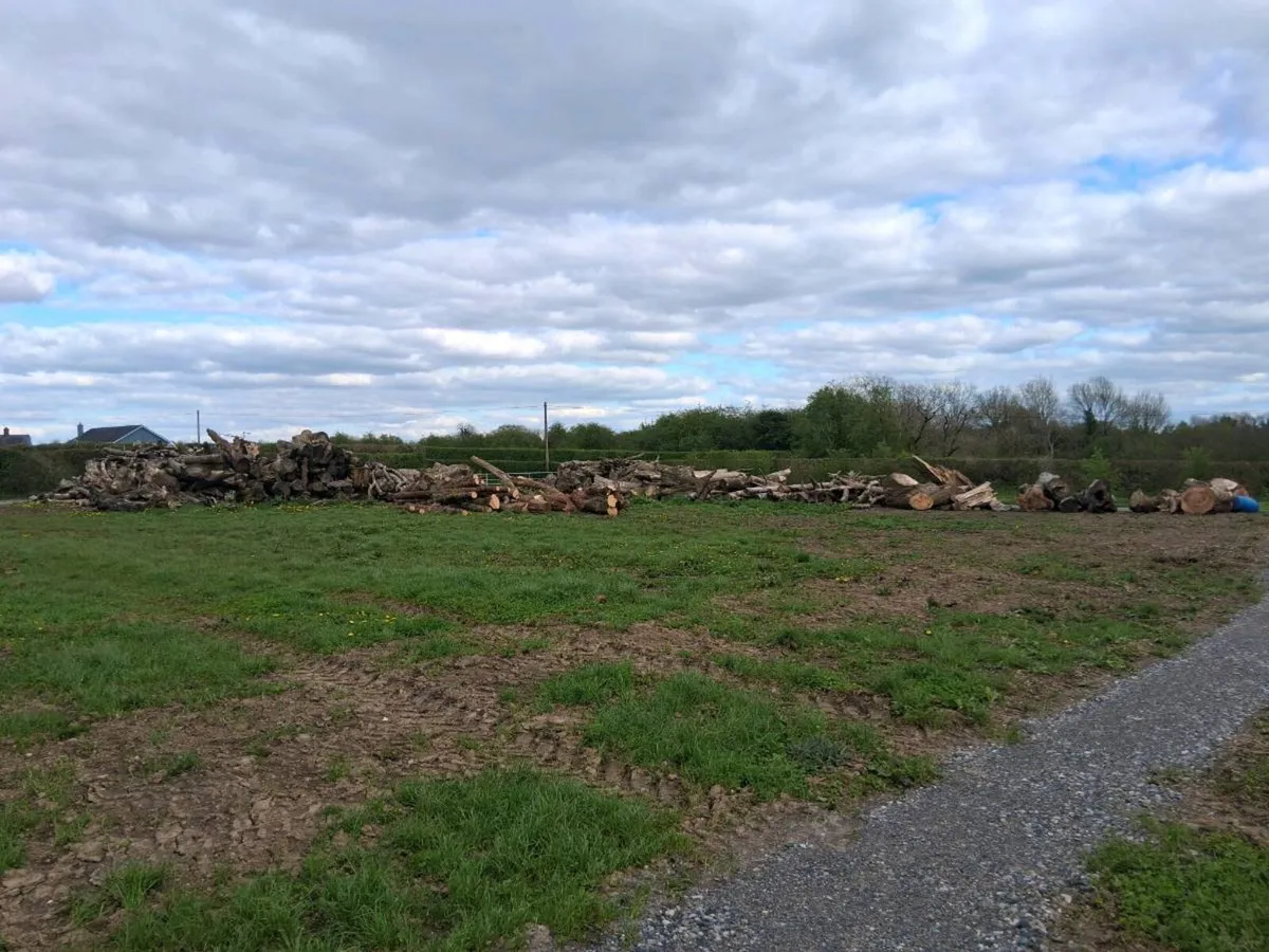 Firewood/Timber - Image 1