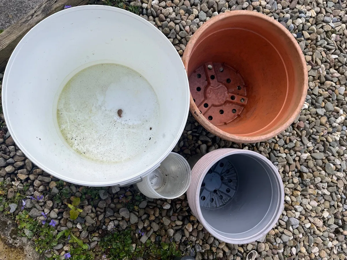 Unwanted items - Image 3