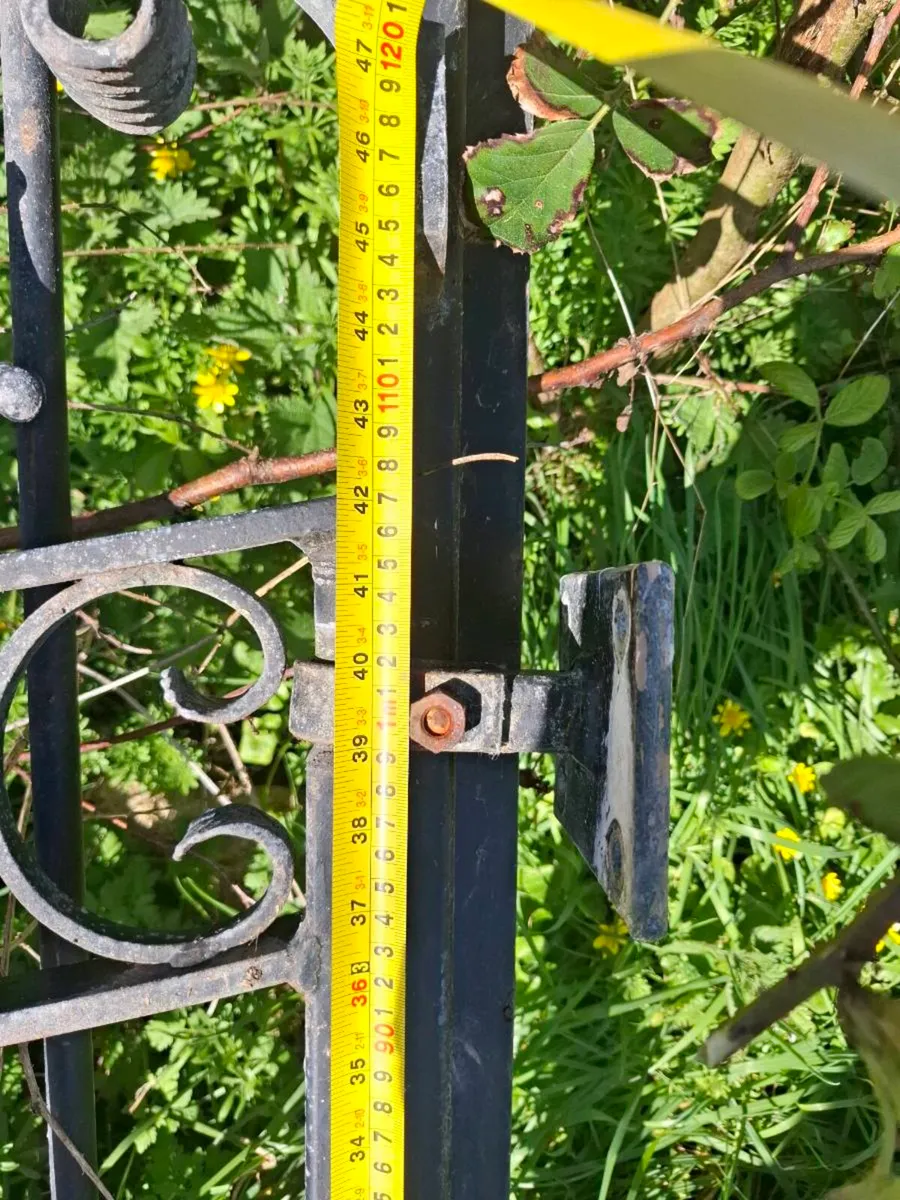 Gate for sale - Image 2