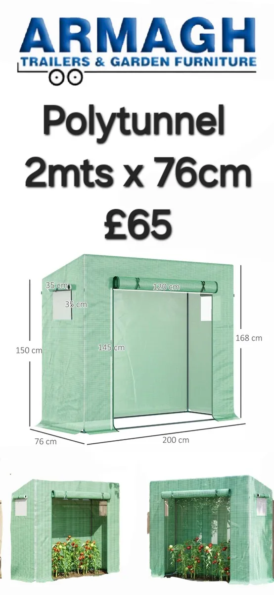 3mts x 3mts garden polytunnel plants garden growin - Image 4