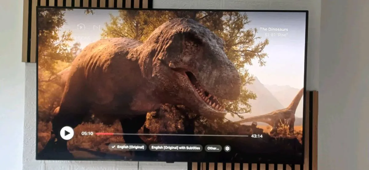 LG 55” OLED TV – Under Warranty till 2028 – Excell - Image 2