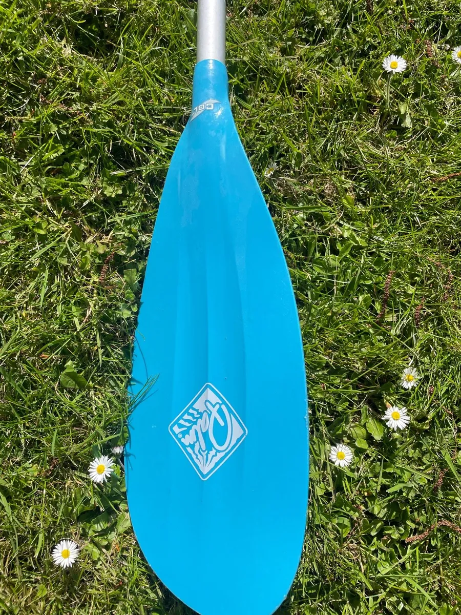 Kayak - Image 4