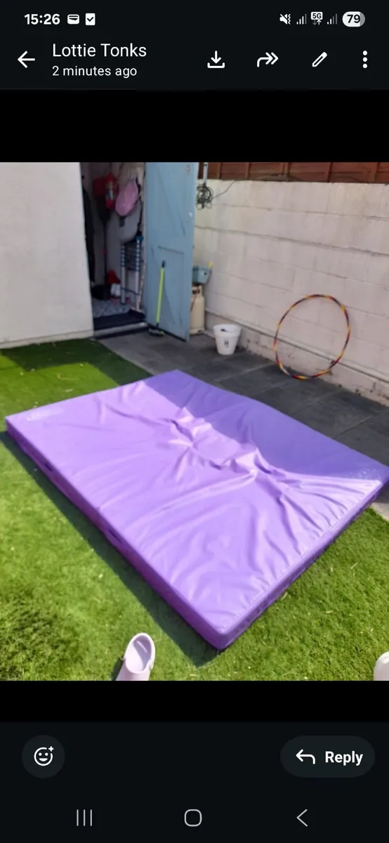 Gymnastics Bars & Mat - Image 1