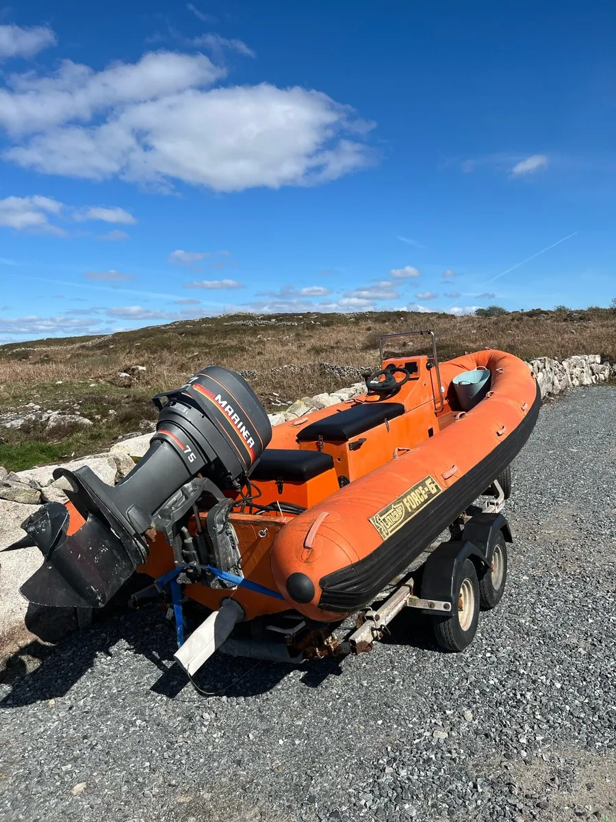 Flatcraft rib - Image 2