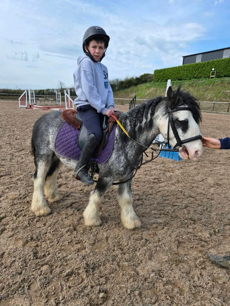 Perfect little toddlers pony - Image 4