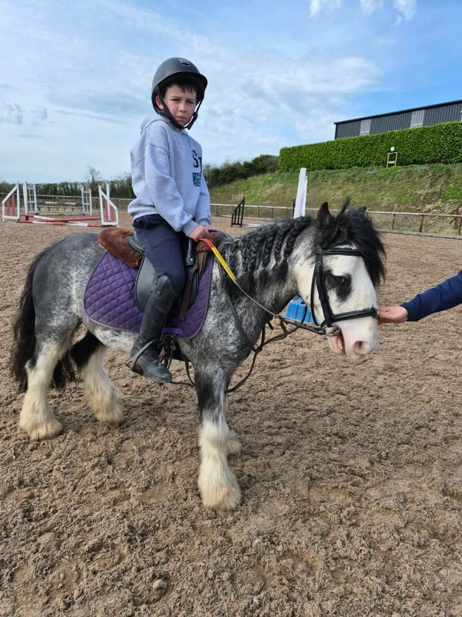 Perfect little toddlers pony - Image 2