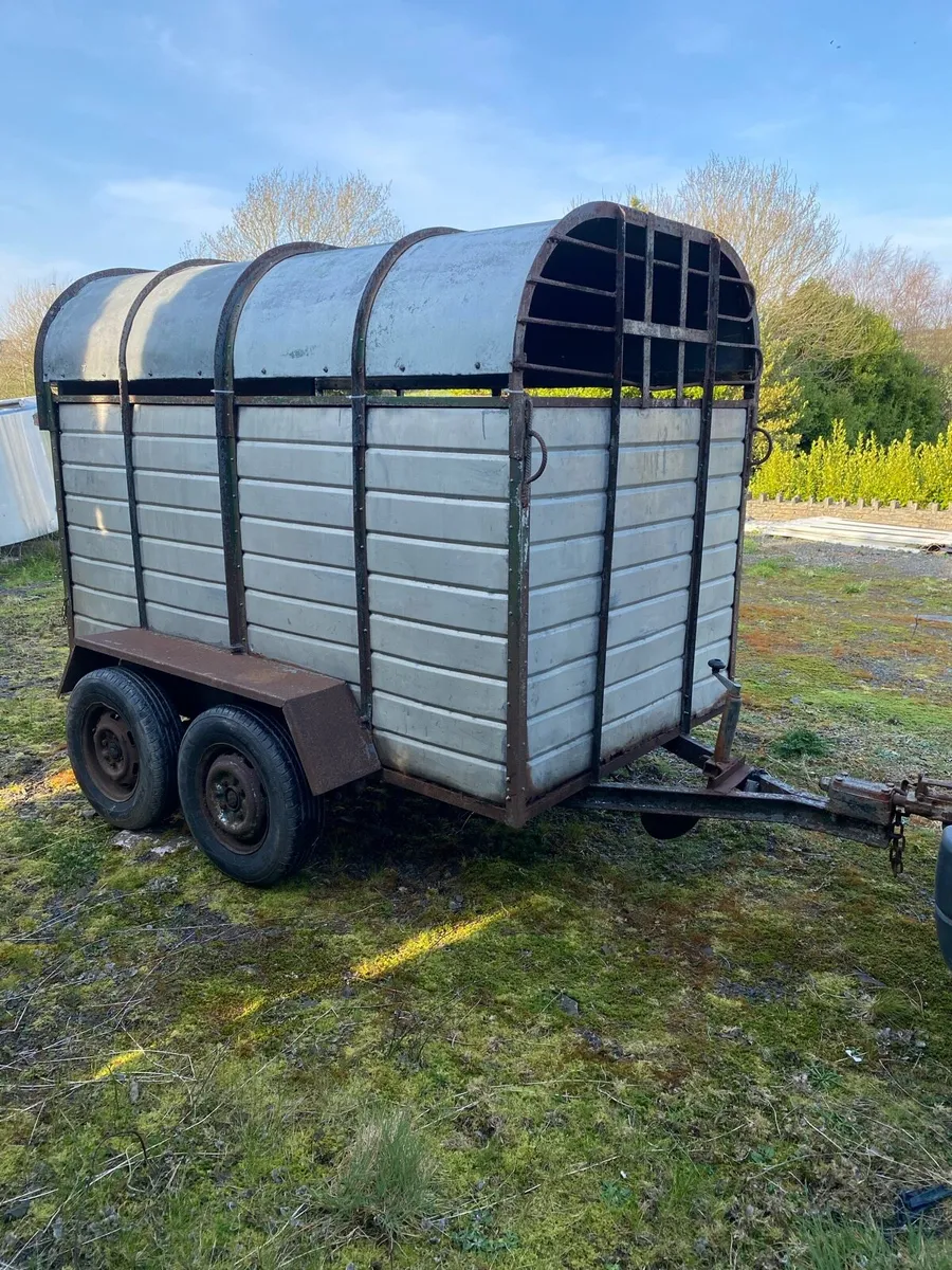 8x4”6 Cattle box - Image 1