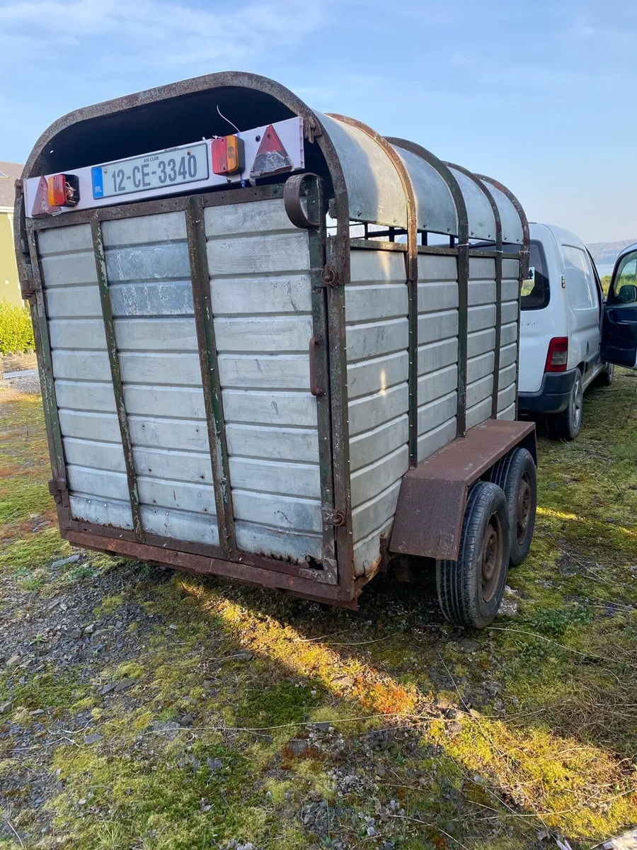 8x4”6 Cattle box - Image 3