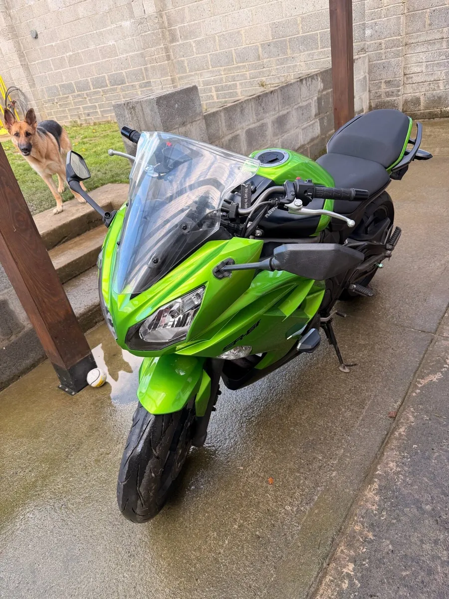 Kawasaki ER6F - Image 2