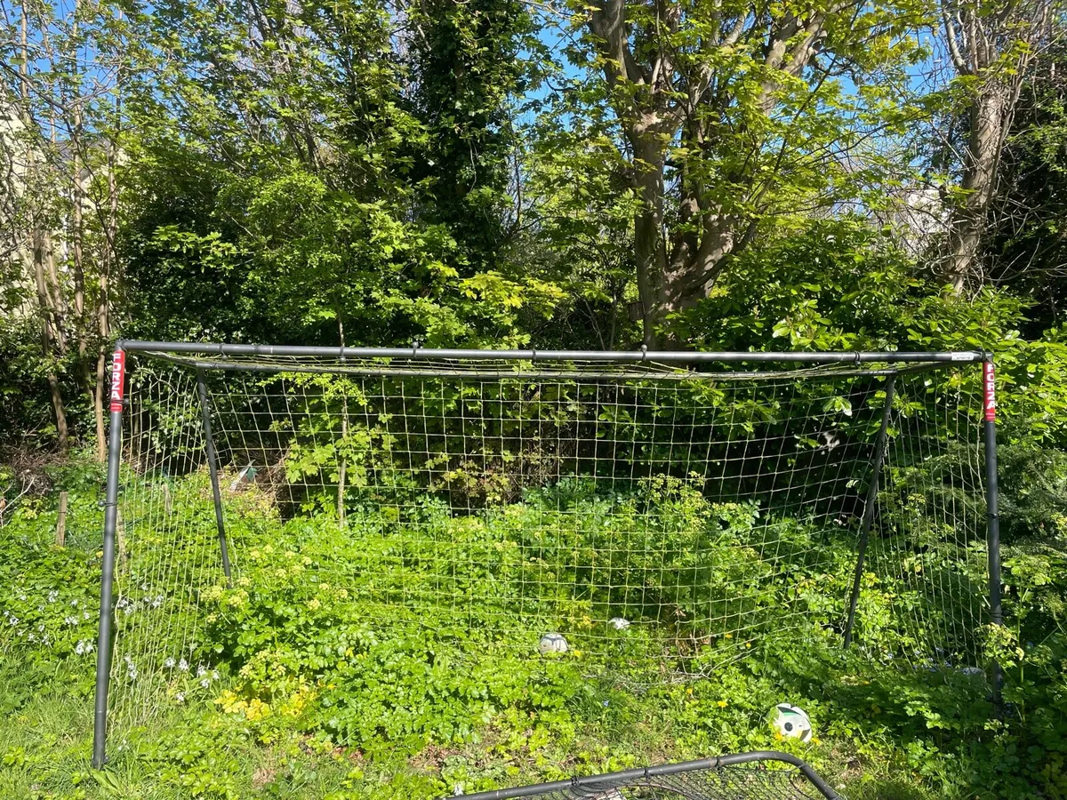 Forza Goal post - Image 2