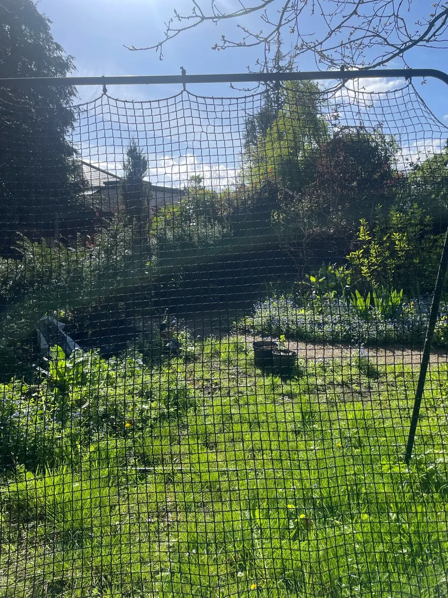 Hurling rebounder - Image 3