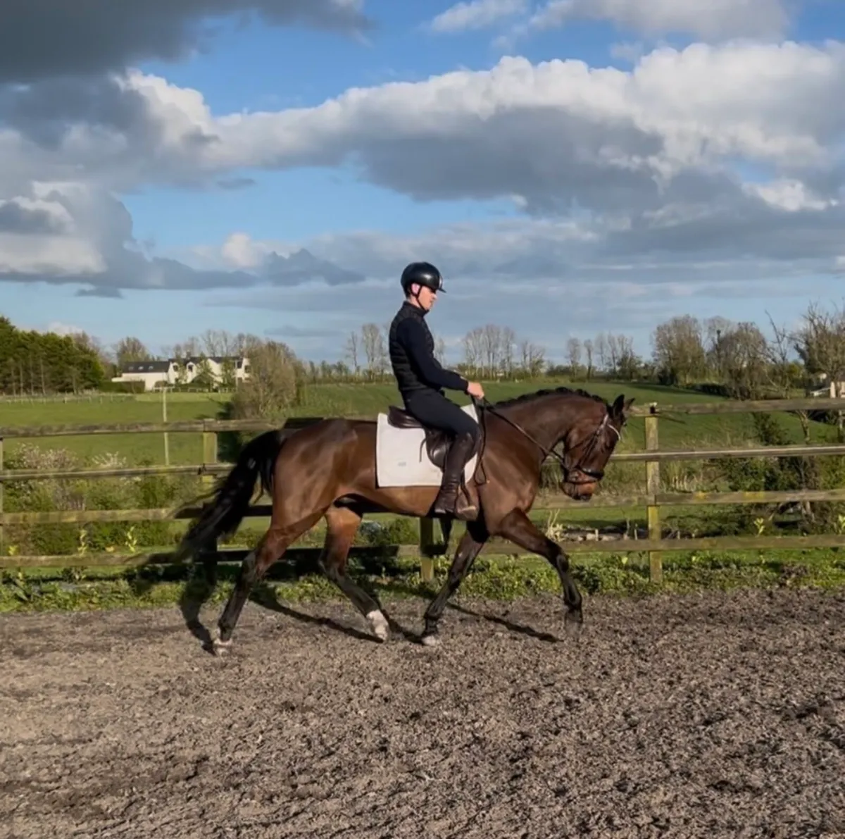 As Quiet As They Come - Image 1