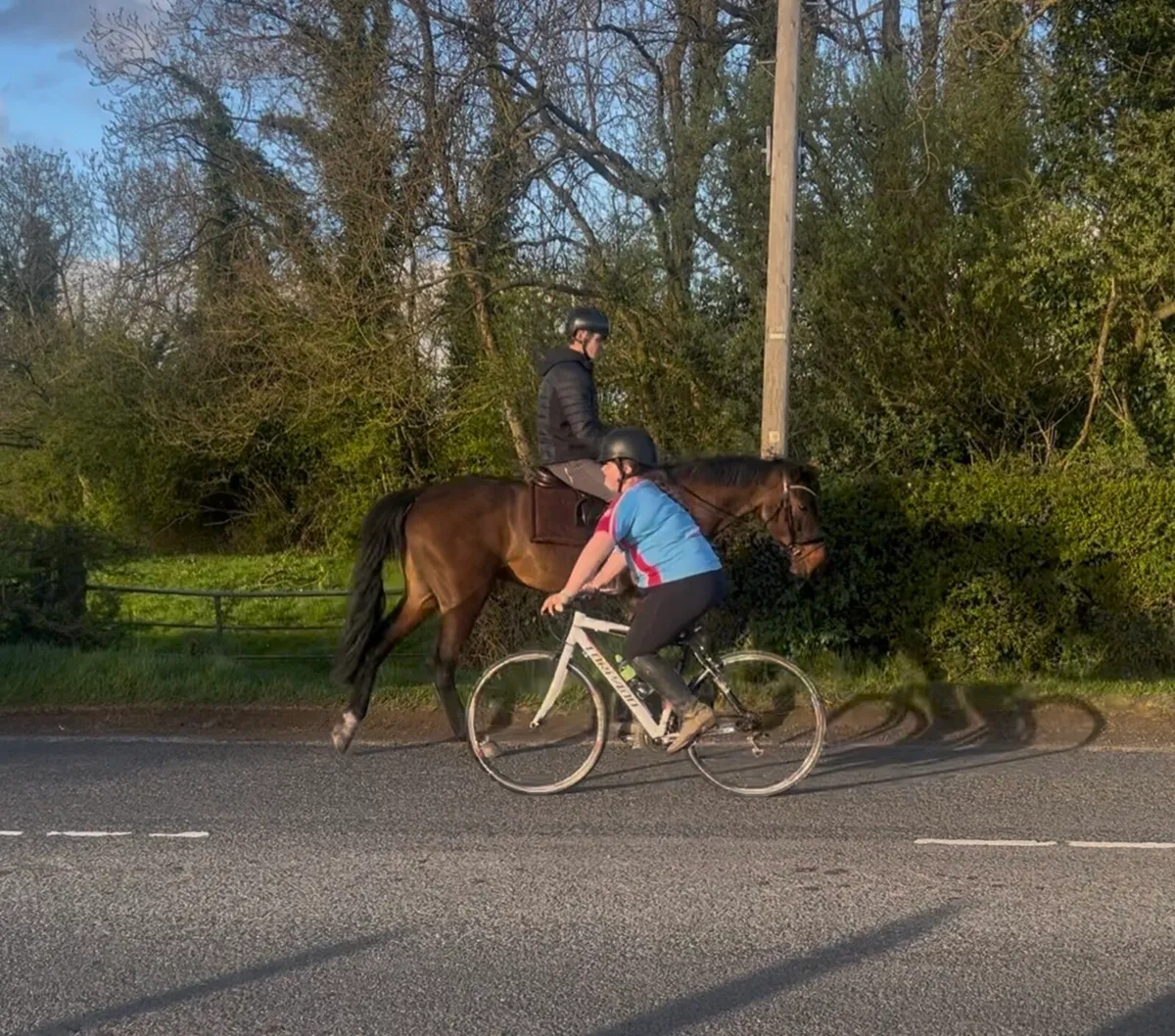 As Quiet As They Come - Image 3