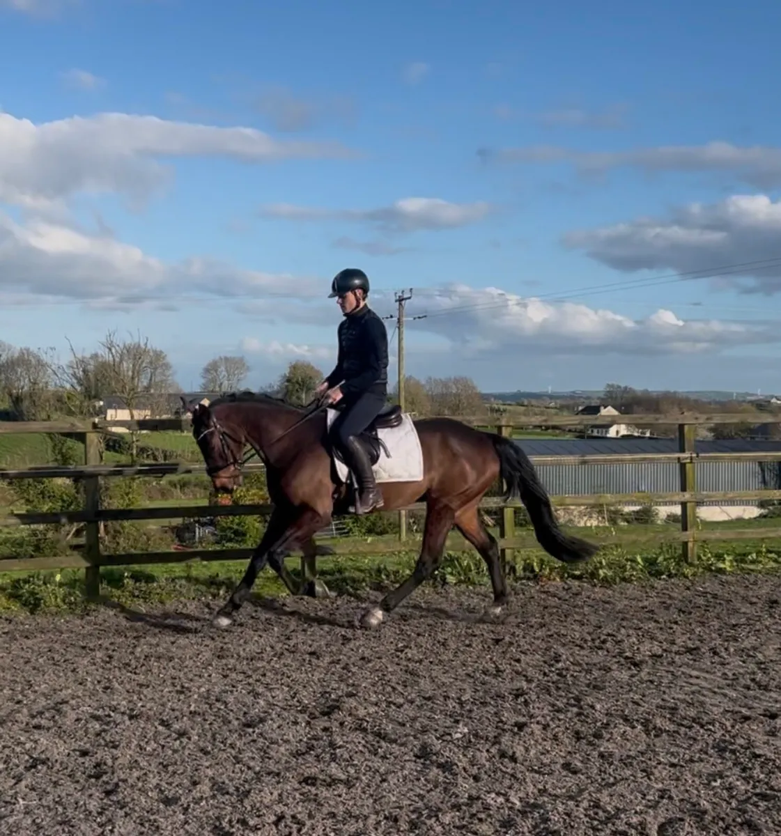 As Quiet As They Come - Image 4