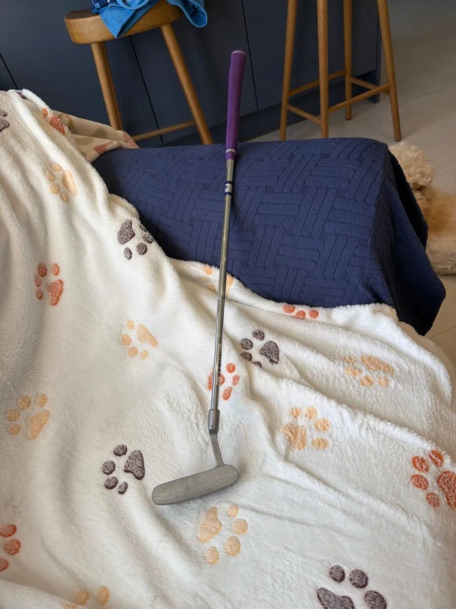 Golf club putter - Image 1