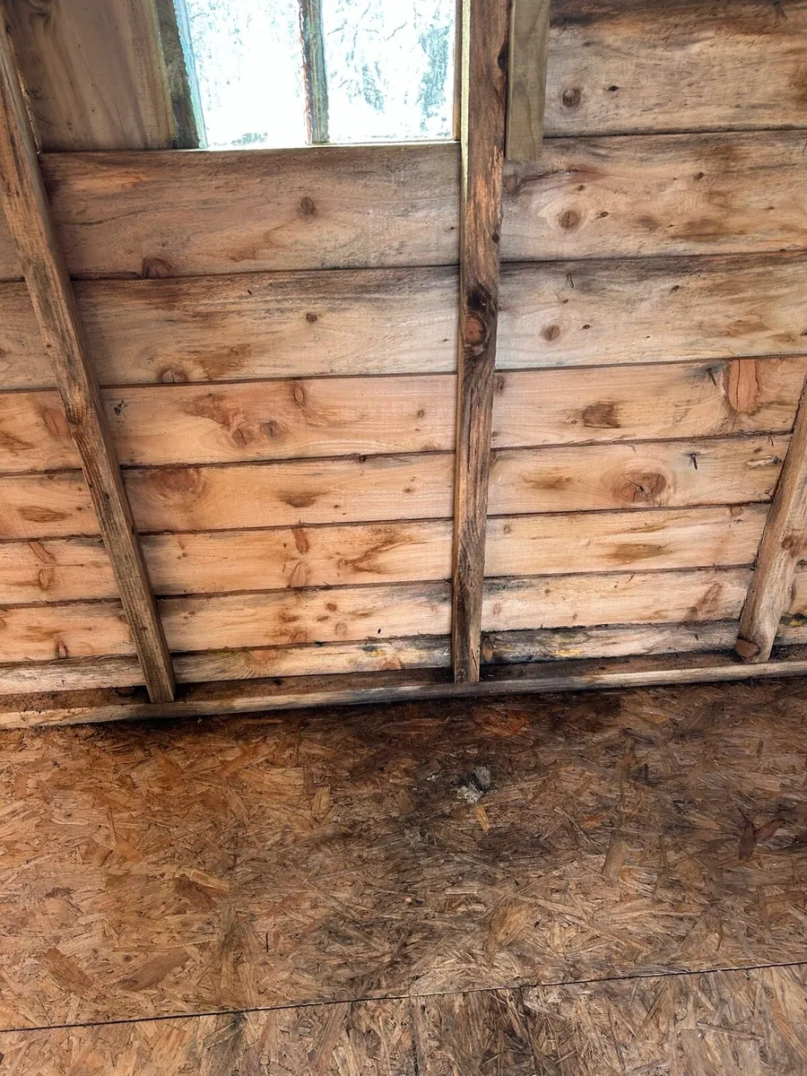 Wooden Shed - Image 4