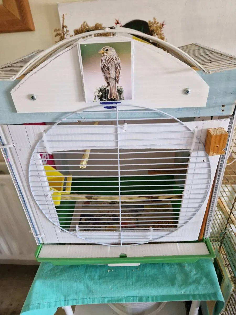 Budgie cage and food. - Image 3