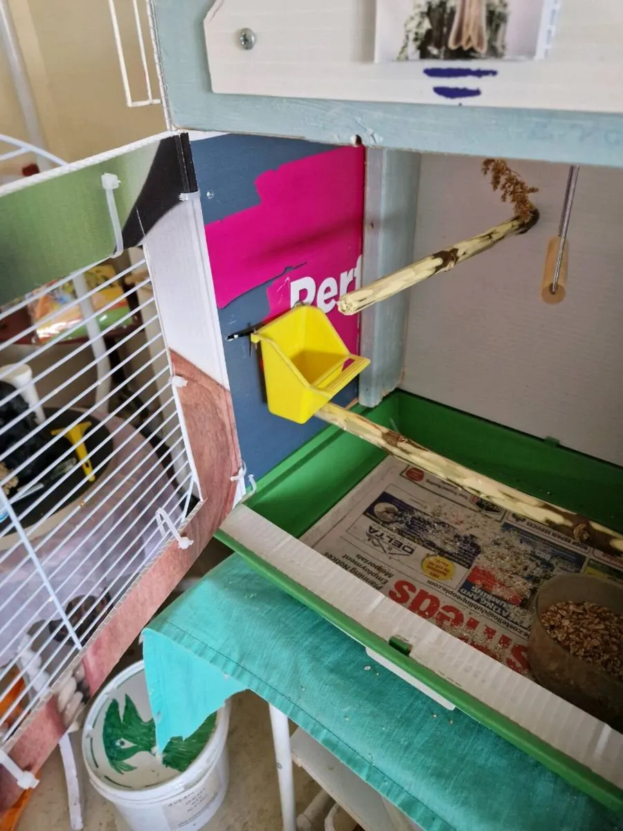 Budgie cage and food. - Image 4