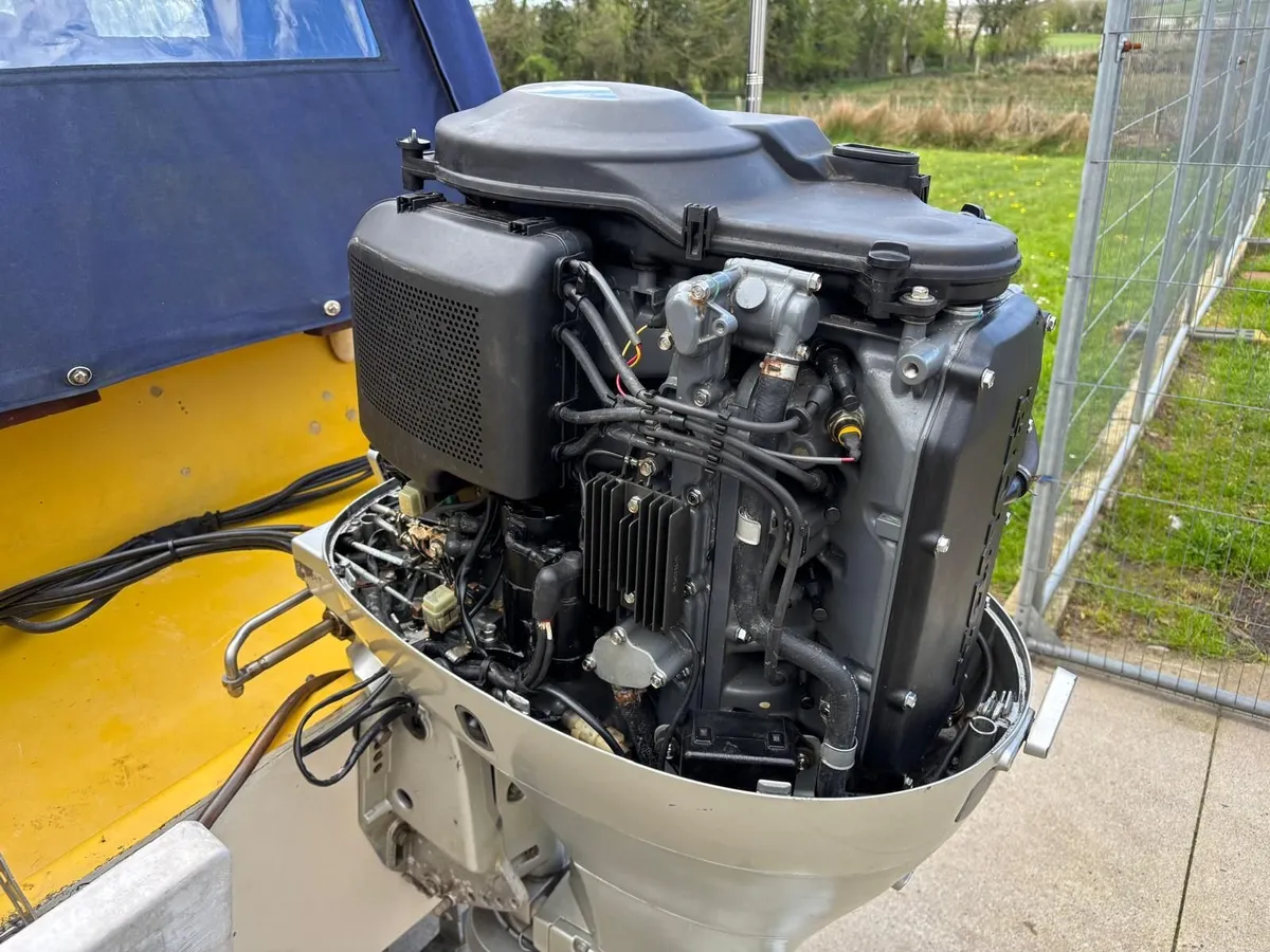 Boats  Shetland Sheltie - Image 3