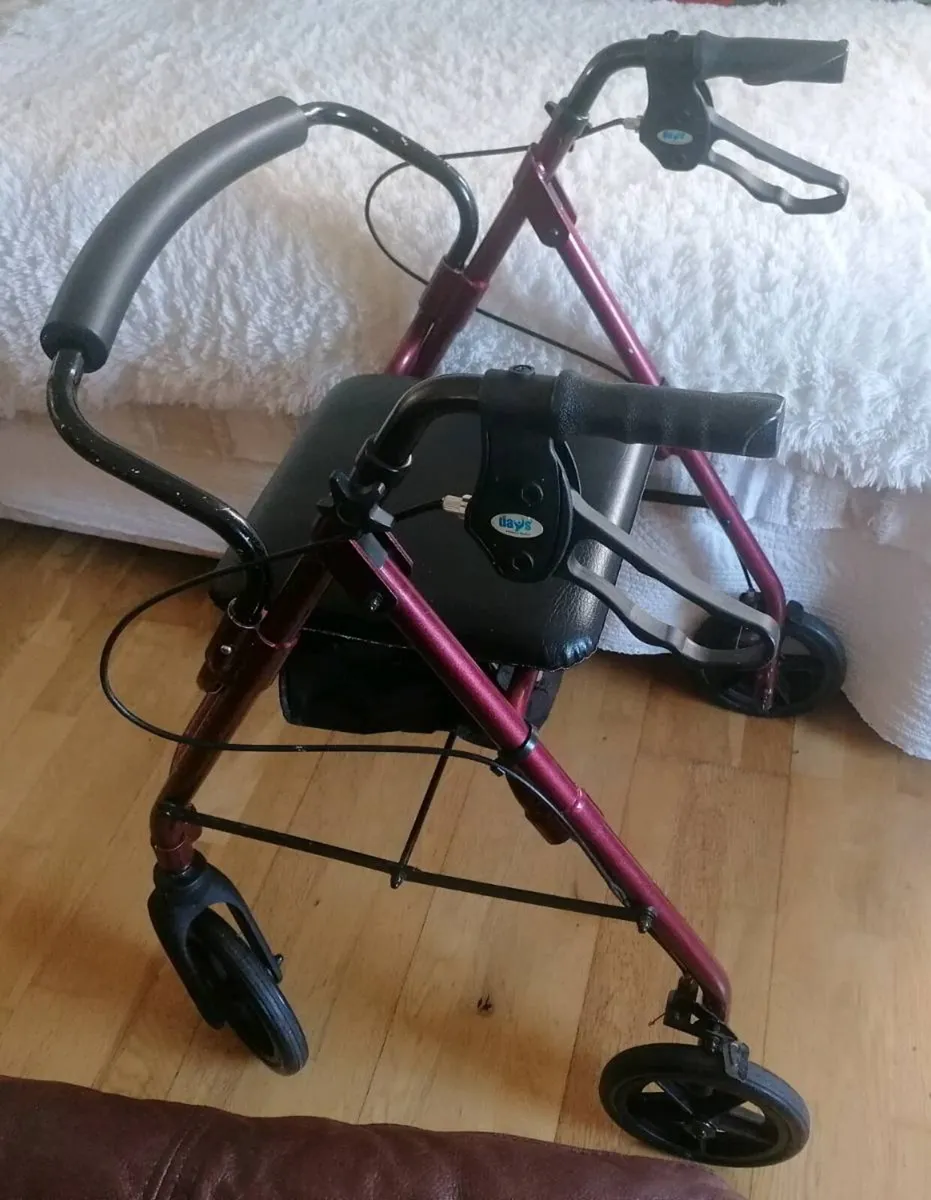 Rollator with Seat - Image 1