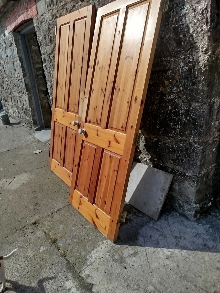 Internal Doors - Image 2