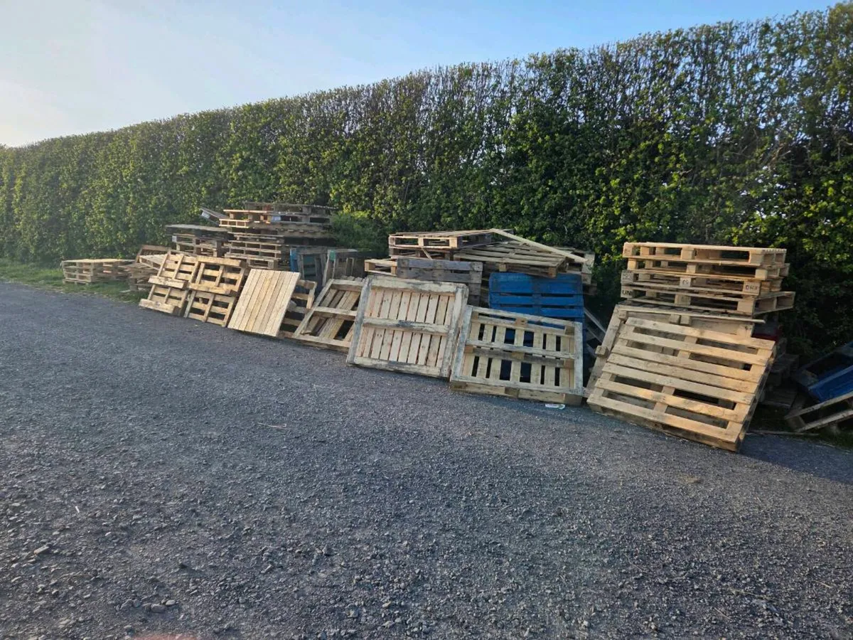 Pallets - Image 2