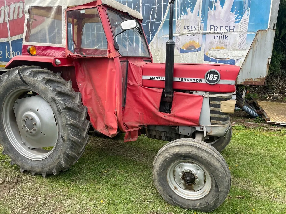Massey Ferguson 165 - Image 2