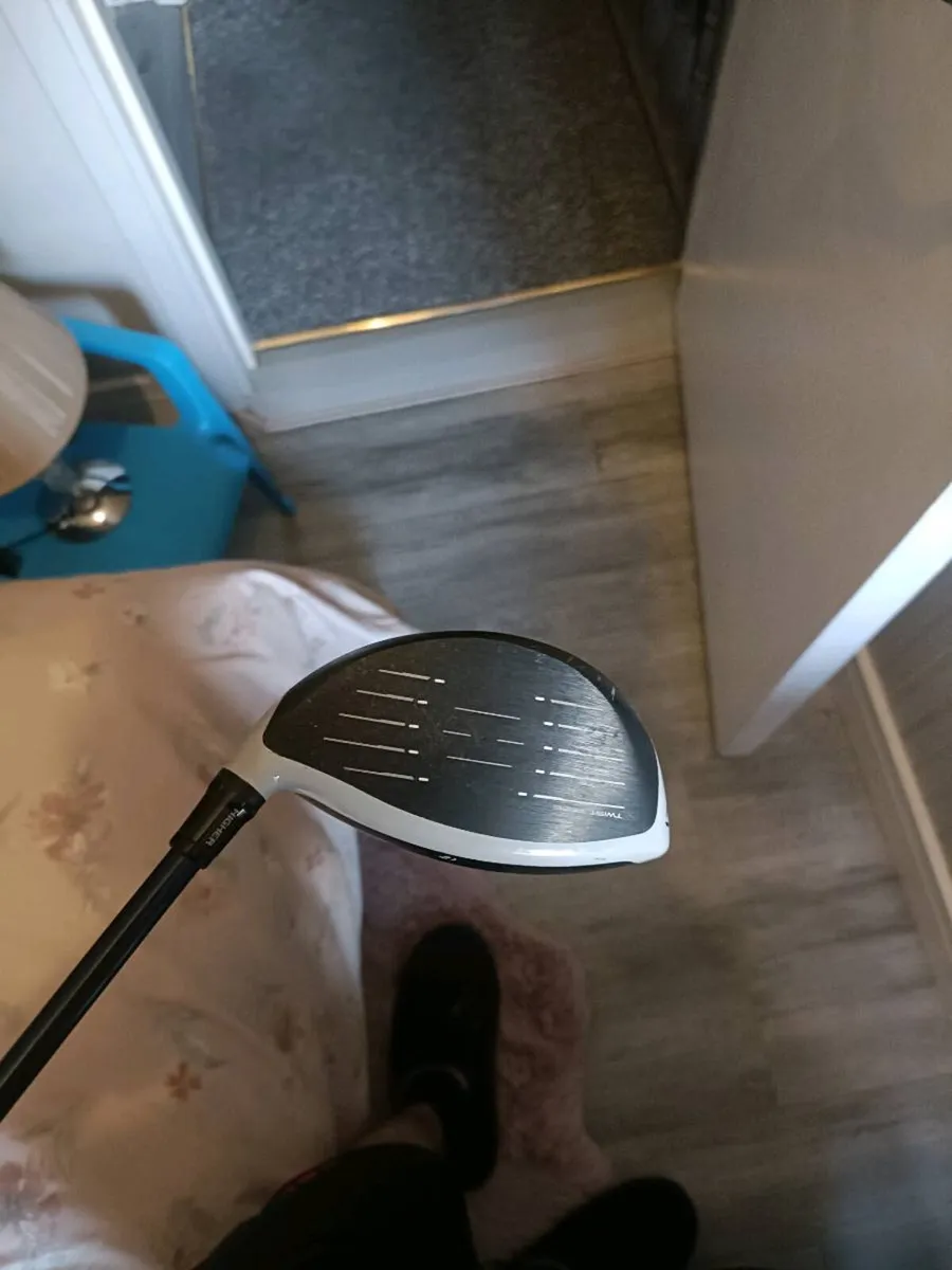 Sim 2 max driver - Image 3