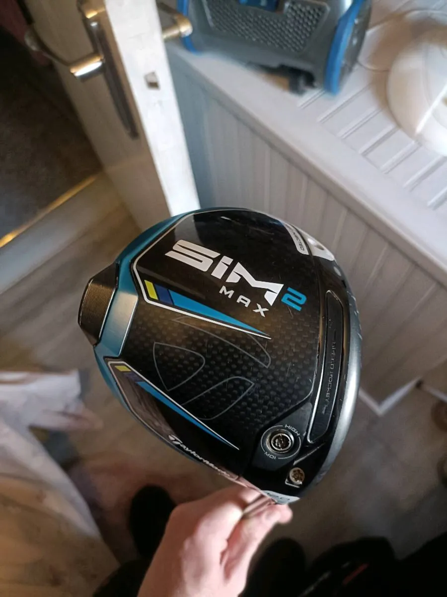 Sim 2 max driver - Image 1