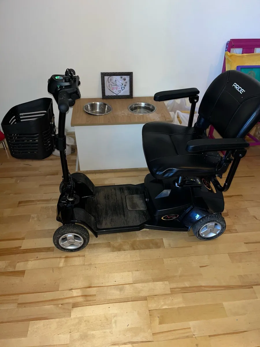 ⭐️⭐️⭐️FREE FREE ⭐️⭐️⭐️ - Image 1