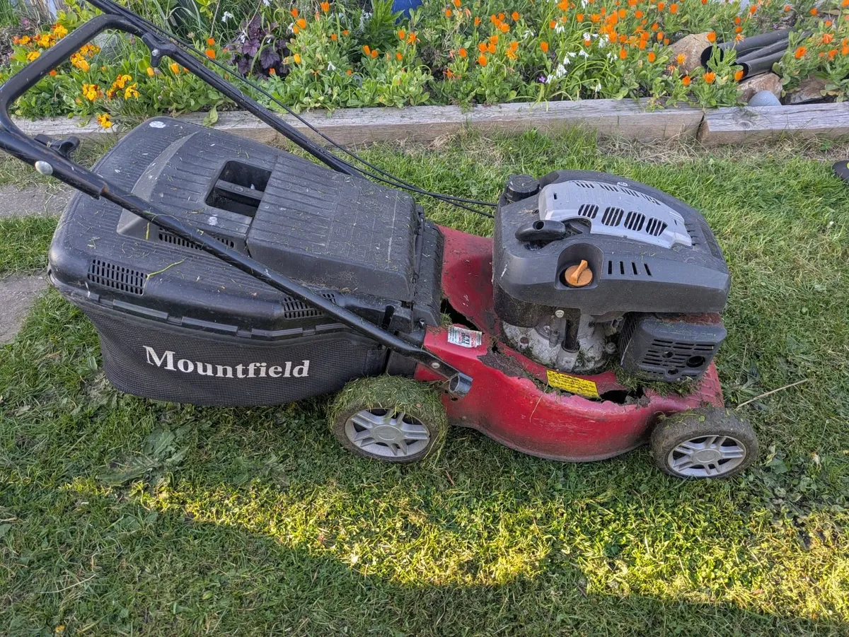 Lawnmower - Image 1