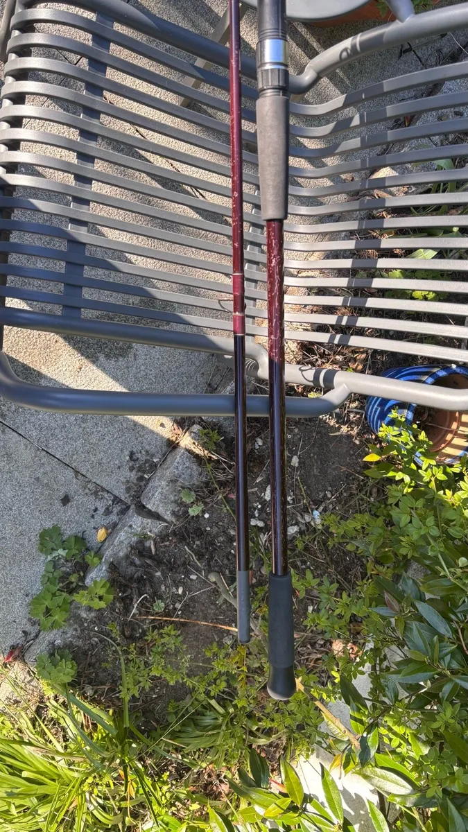 Abu Garcia Enticer NRG fishing rod - Image 3