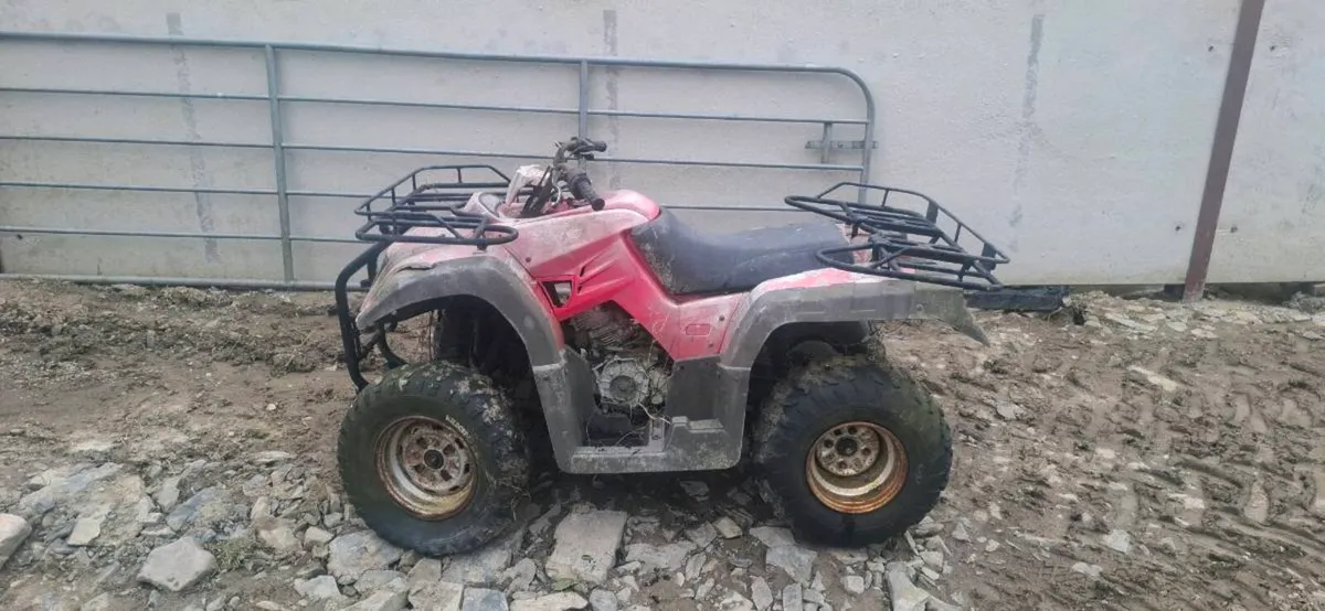 Quad Projects for Parts or Repair - Image 2