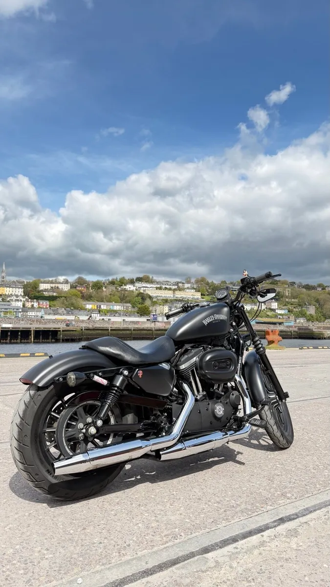 Harley-Davidson Iron 883 XL Sportster – 2014 - Image 2