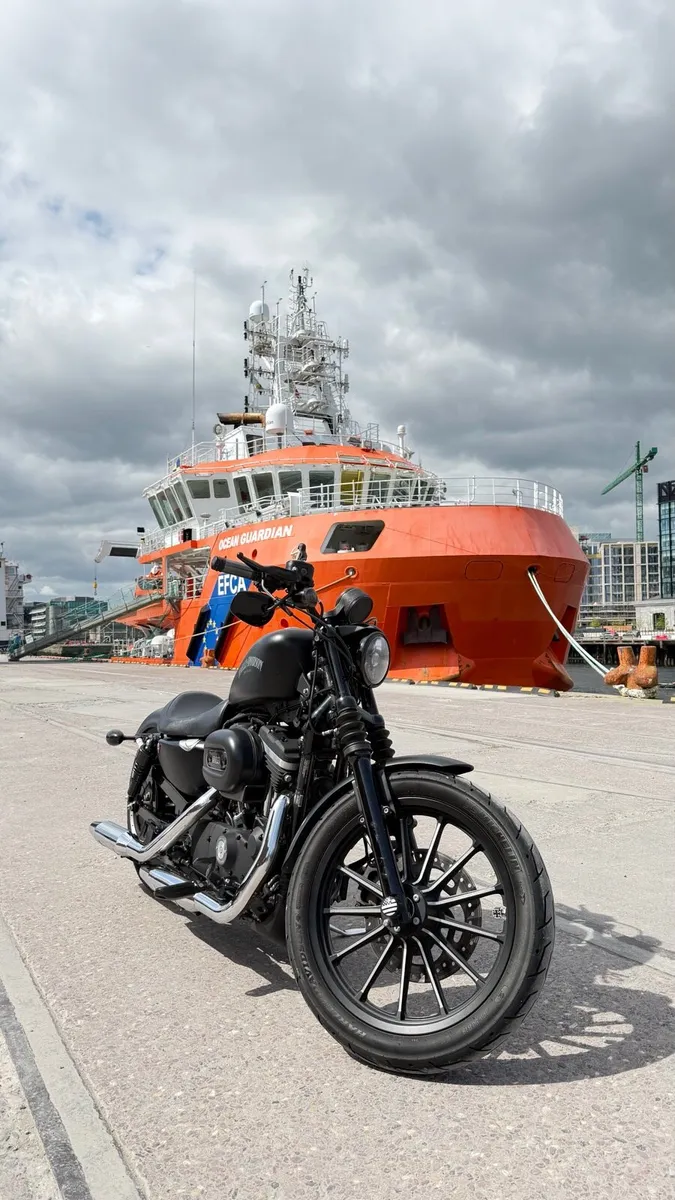 Harley-Davidson Iron 883 XL Sportster – 2014 - Image 4