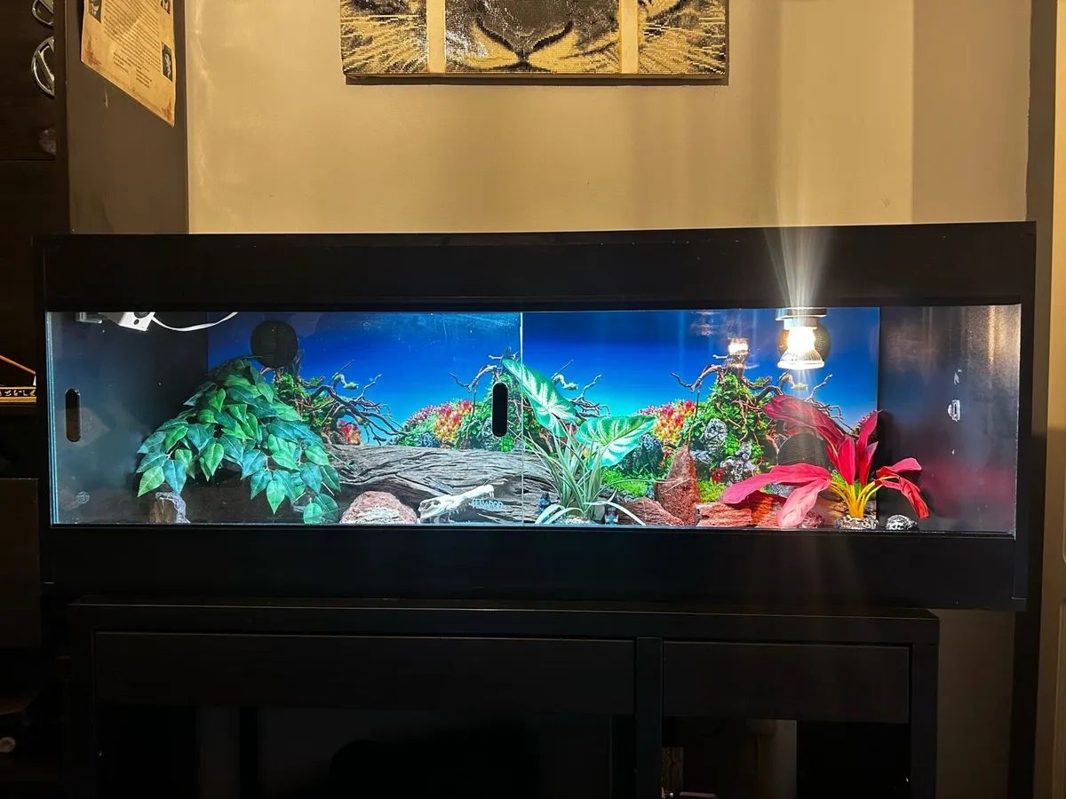 Reptile Vivarium - Image 1